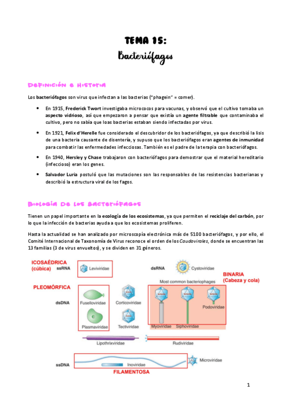 Miniatura del documento TEMA-15.pdf