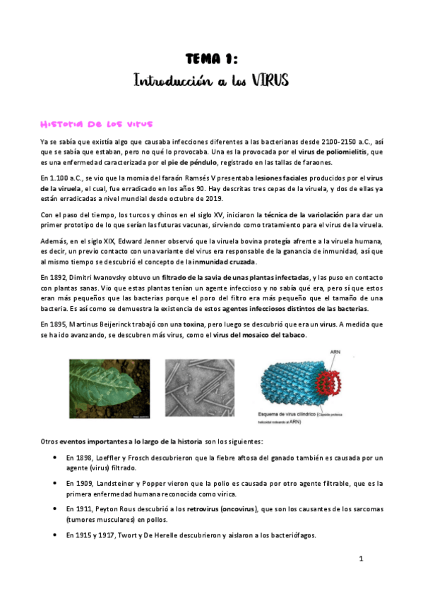 Miniatura del documento TEMA-1.pdf