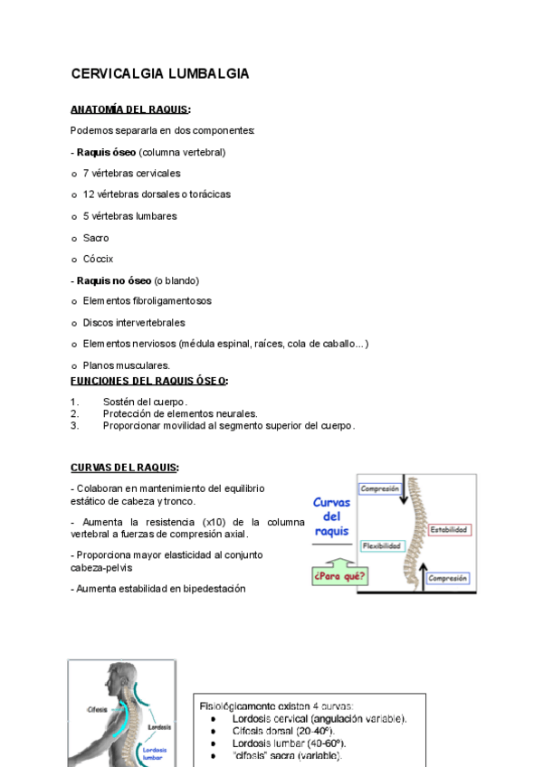 Miniatura del documento Tema-14-15-Algias-vertebrales.pdf