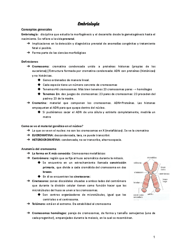 Miniatura del documento Embriologia.pdf