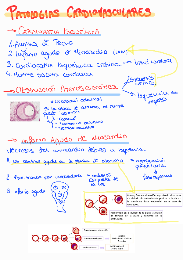 Miniatura del documento Patologia-cardiaca.pdf