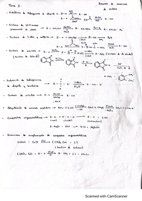 Miniatura del documento Resumen-reacciones-por-temas.pdf