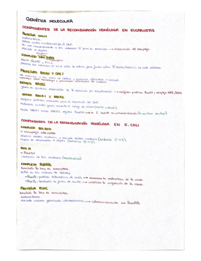 Miniatura del documento Esquema-Componentes-de-la-recombinacion-homologa.pdf