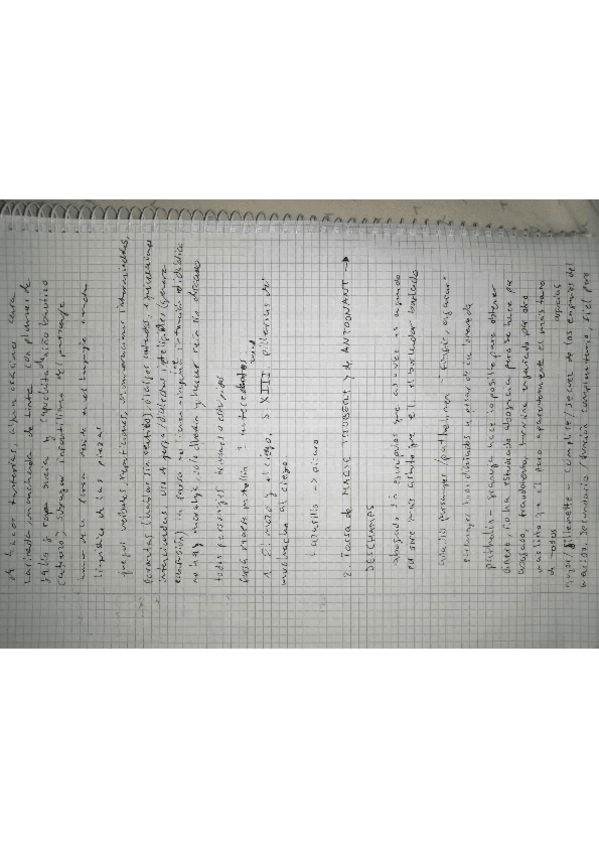 Miniatura del documento IMG20230110222841.pdf