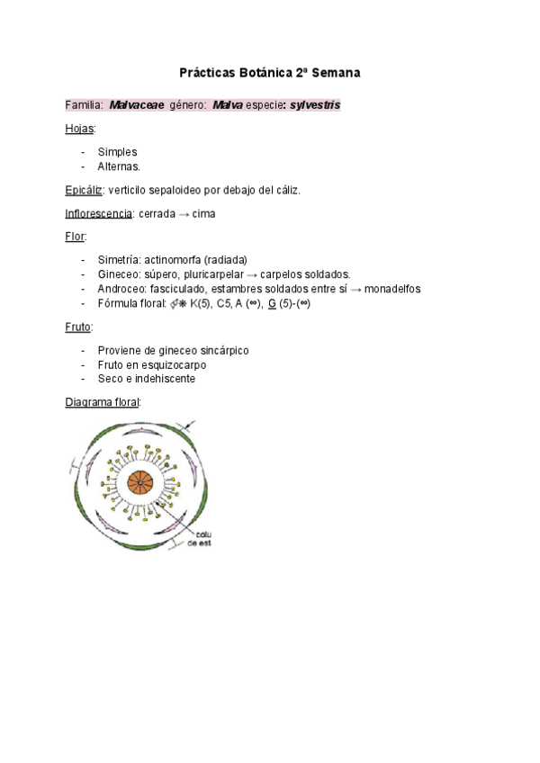 Miniatura del documento Practicas-Botanica-2a-semana.pdf