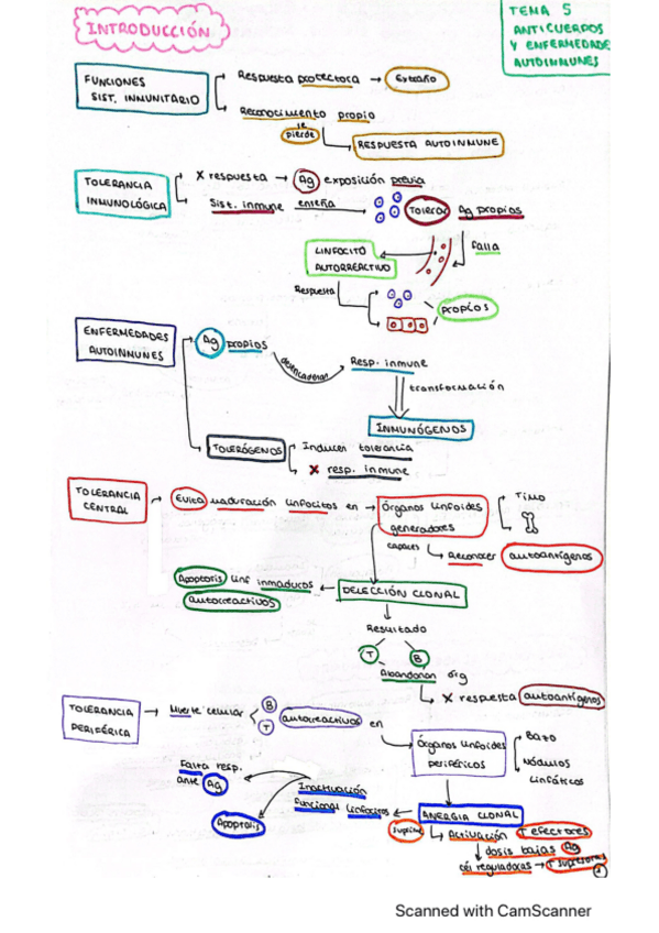 Miniatura del documento apuntes-T5-inmuno.pdf