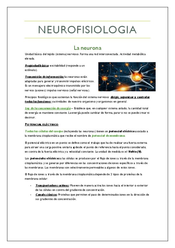 Miniatura del documento Neurologia-Pifarre.pdf