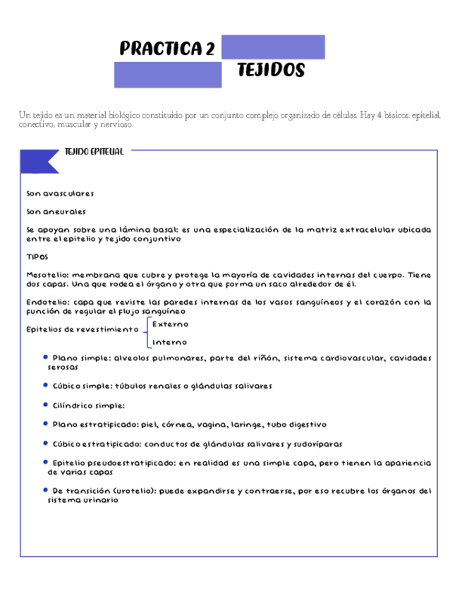 Miniatura del documento Tejidos-epiteliales.pdf
