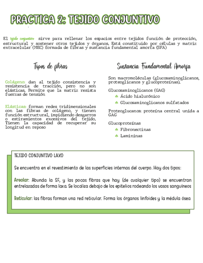 Miniatura del documento Tejido-conjuntivo.pdf