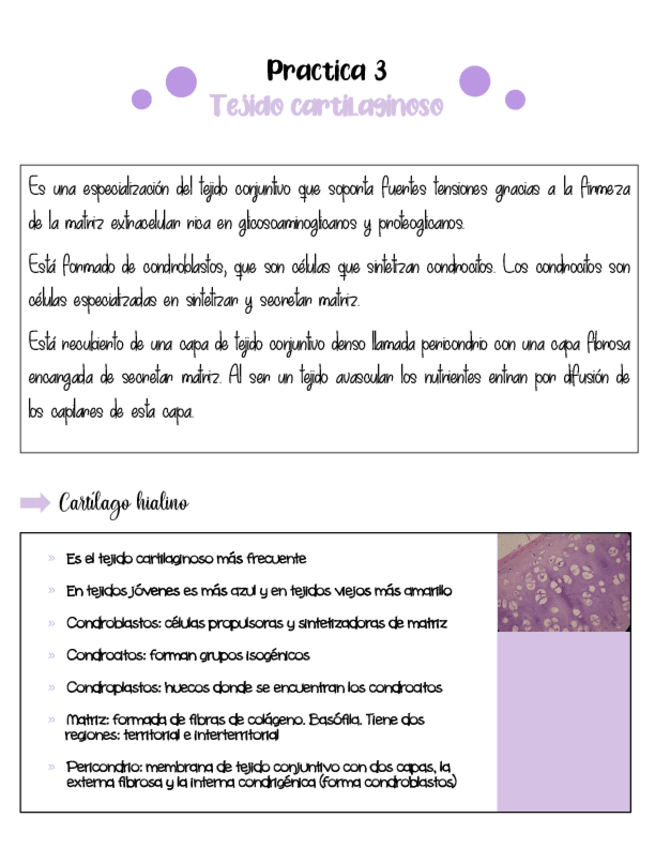 Miniatura del documento Tejido-cartilaginoso.pdf