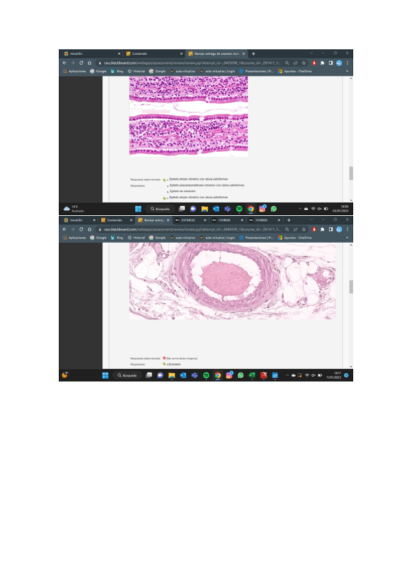 Miniatura del documento EXAMEN-HISTOLOGIA.pdf