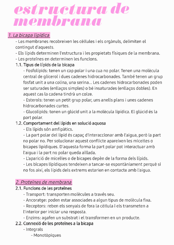 Miniatura del documento Estructura-de-membrana.pdf