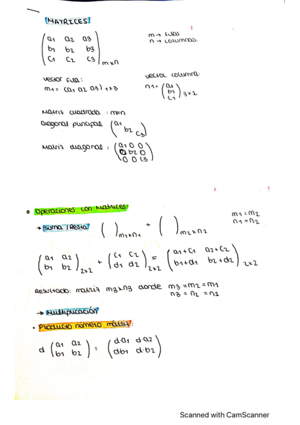 Miniatura del documento matrices.pdf
