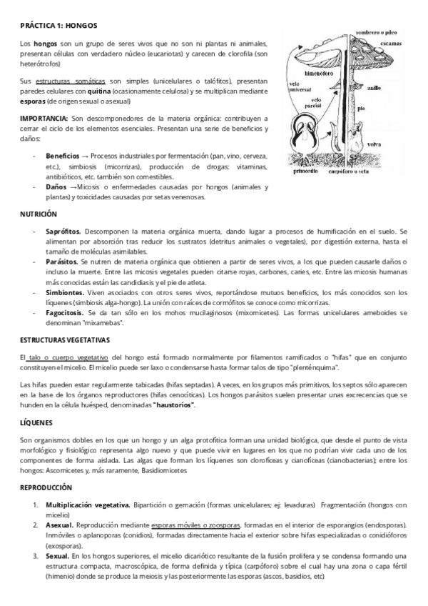 Miniatura del documento PRACTICAS-BOTANICA (SAQUE 8.9).pdf