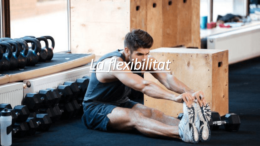 Miniatura del documento La-flexibilitat.pdf