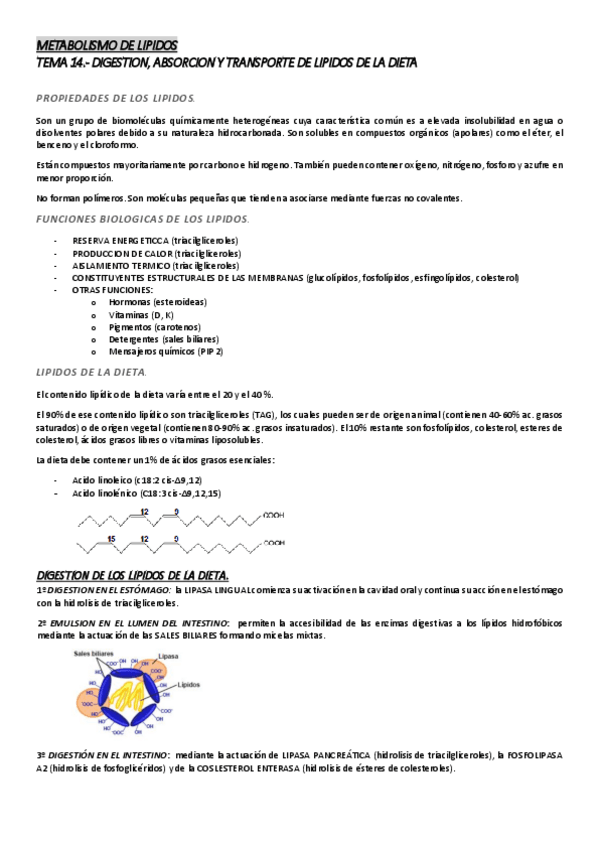 Miniatura del documento METABOLISMO-DE-LIPIDOS.pdf