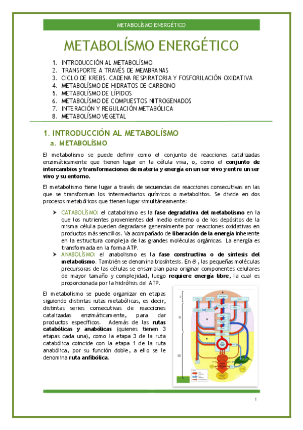 Miniatura del documento Parte-2Metabolismo.pdf