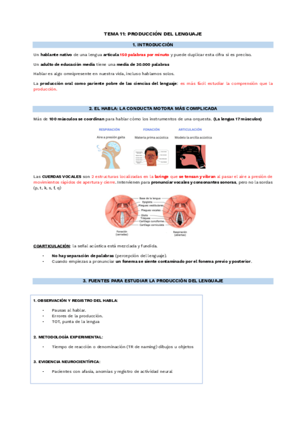 Miniatura del documento TEMA-11.-PRODUCCION-DEL-LENGUAJE.pdf