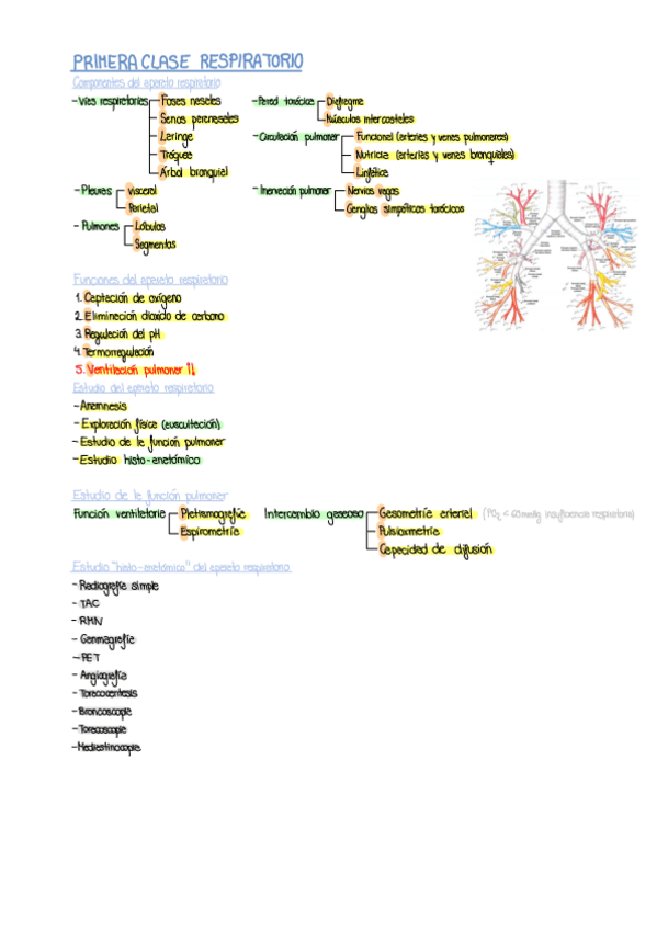 Miniatura del documento 2oPARCIAL-AMQ-Parte-1.pdf