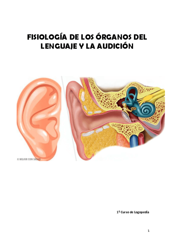 Miniatura del documento APUNTES-FISIOLOGIA.pdf