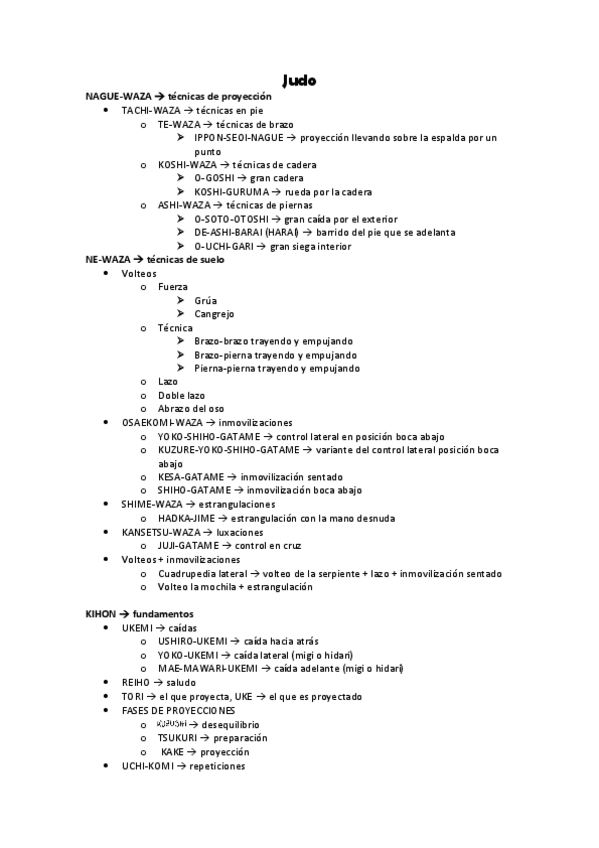 Miniatura del documento Apuntes-judo-practica.pdf