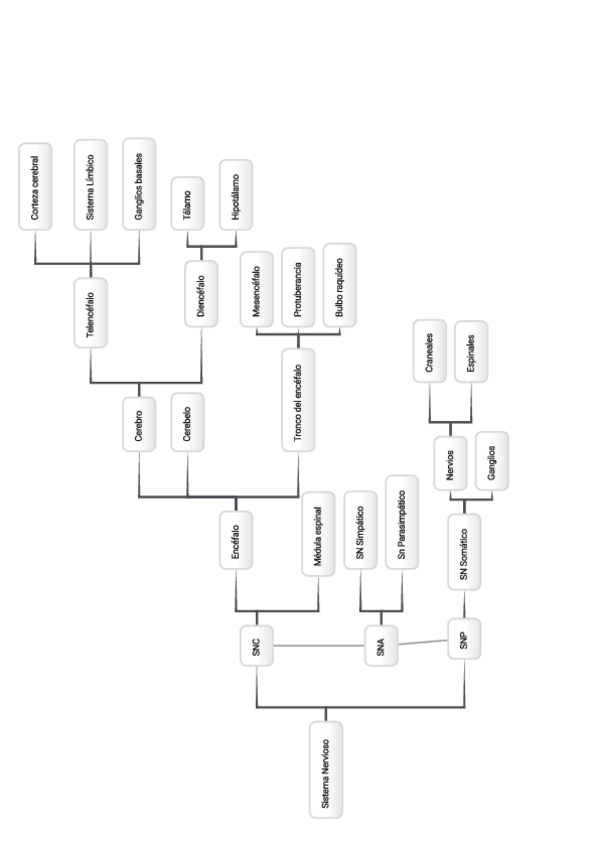 Miniatura del documento Esquema-SN.pdf