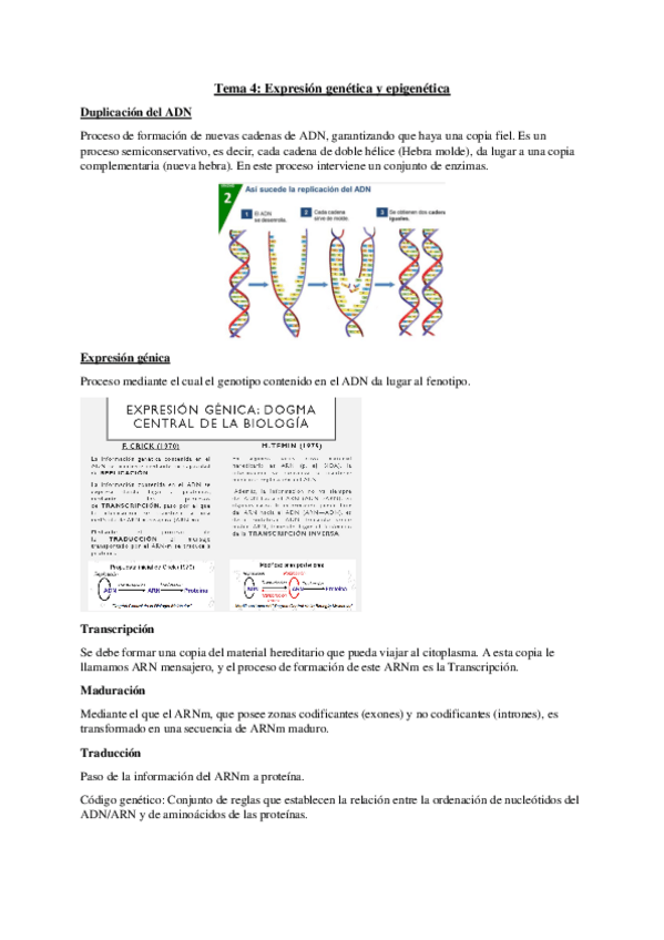 Miniatura del documento T.4-Psicobiologia.pdf