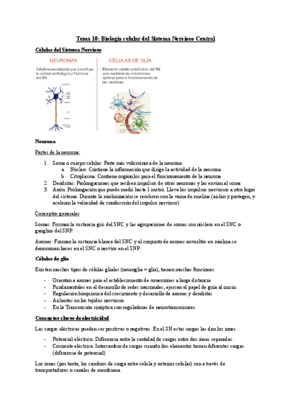Miniatura del documento T.10-Psicobiologia.pdf