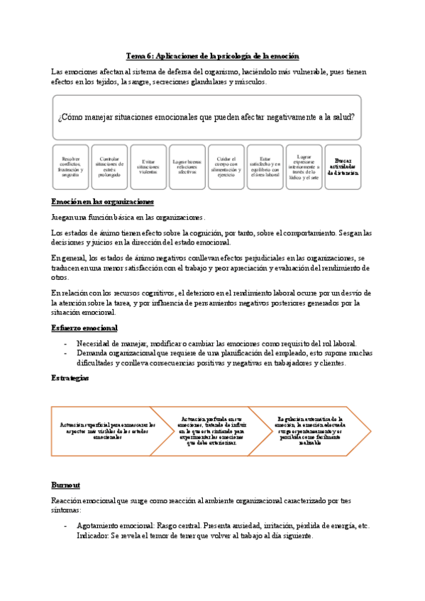 Miniatura del documento T.6-Motivacion-y-emocion.pdf