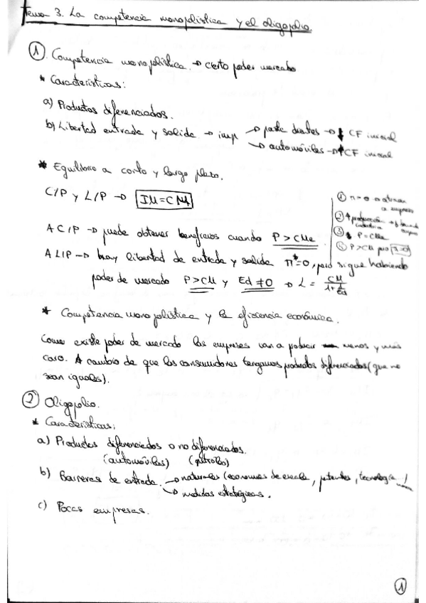 Miniatura del documento Documento 50.pdf