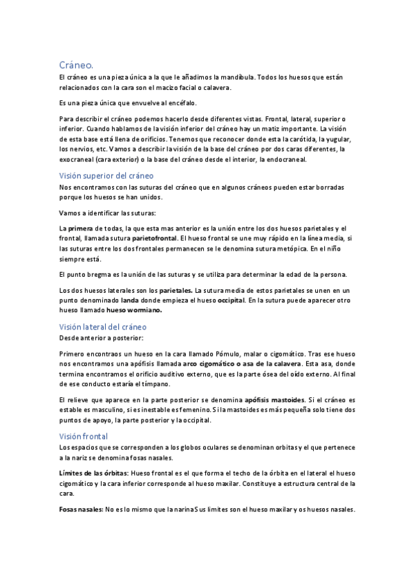 Miniatura del documento Cráneo.pdf