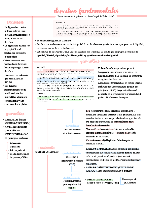Miniatura del documento Derechos-fundamentales.pdf