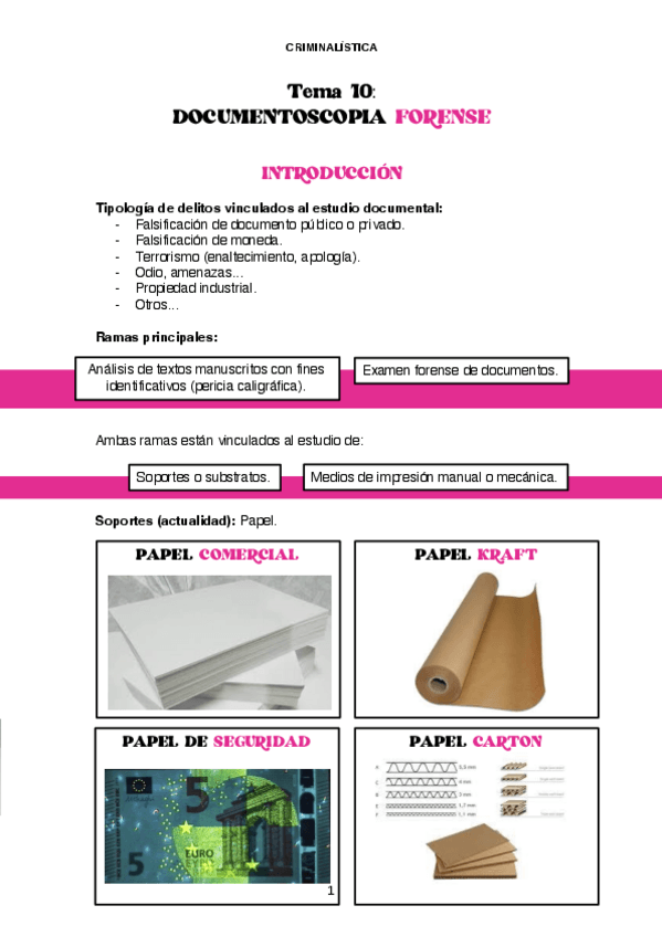 Miniatura del documento 10.pdf