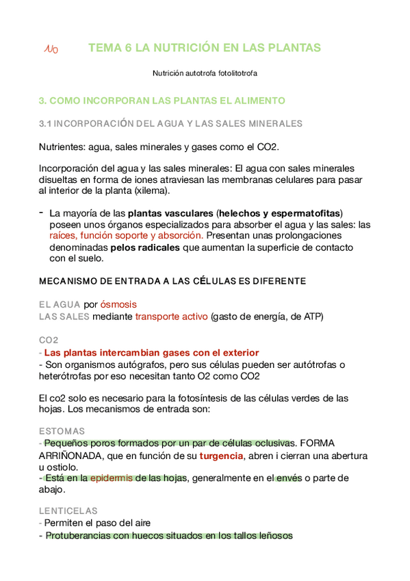 Miniatura del documento TEMA-6-PLANTAS.pdf