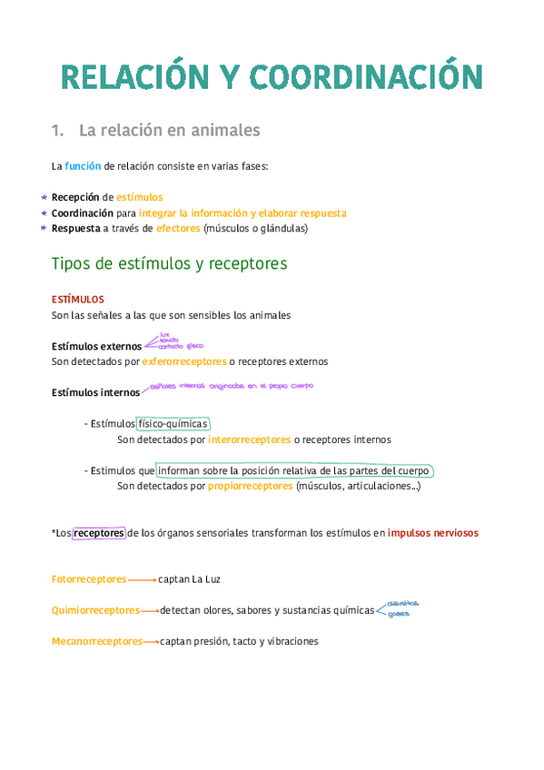 Miniatura del documento Tema-10.-Relacion-y-coordinacion.pdf