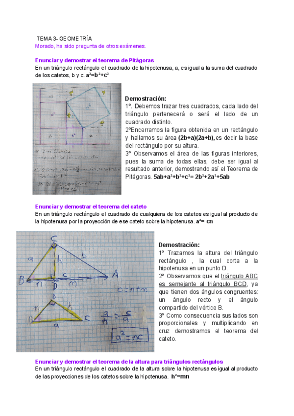 Miniatura del documento TEMA-3-GEOMETRIA.pdf
