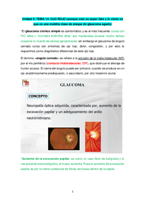 Miniatura del documento OJO-ROJO.pdf