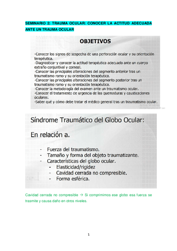 Miniatura del documento SEMINARIO-2-TRAUMA-OCULAR.pdf