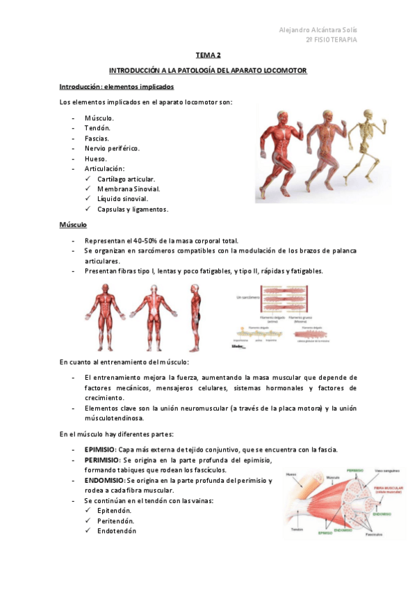 Miniatura del documento TEMA-2-AMQ.pdf