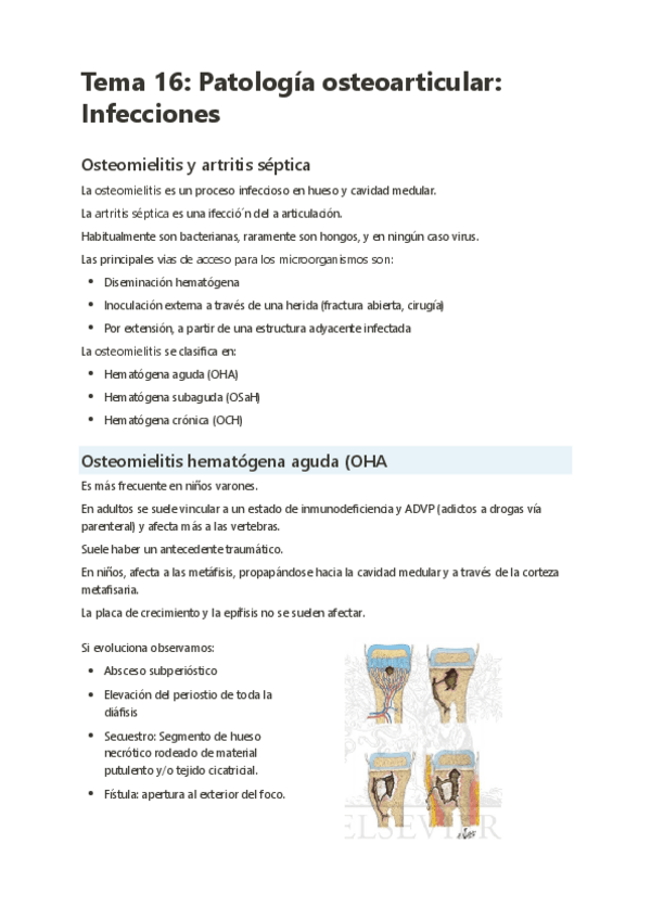 Miniatura del documento Tema-16-Patologia-osteoarticular-Infecciones.pdf