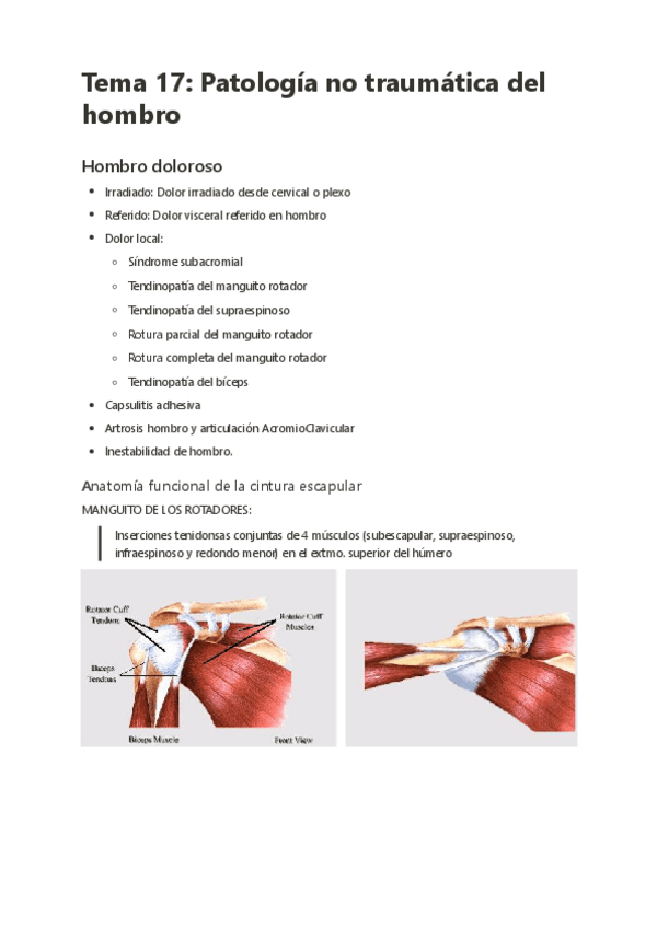 Miniatura del documento Tema-17-Patologia-no-traumatica-del-hombro.pdf