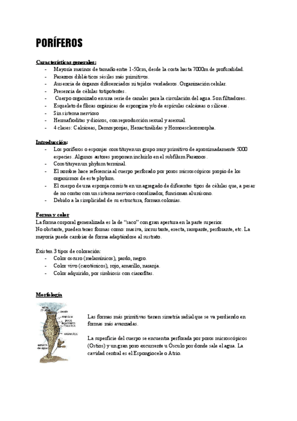 Miniatura del documento Zoologia-completo.pdf