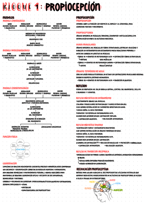 Miniatura del documento BLOQUE-1-PROPIOCEPCION.pdf