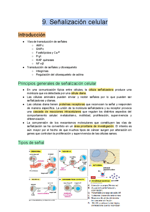 Miniatura del documento 9.-Senalizacion-celular.pdf