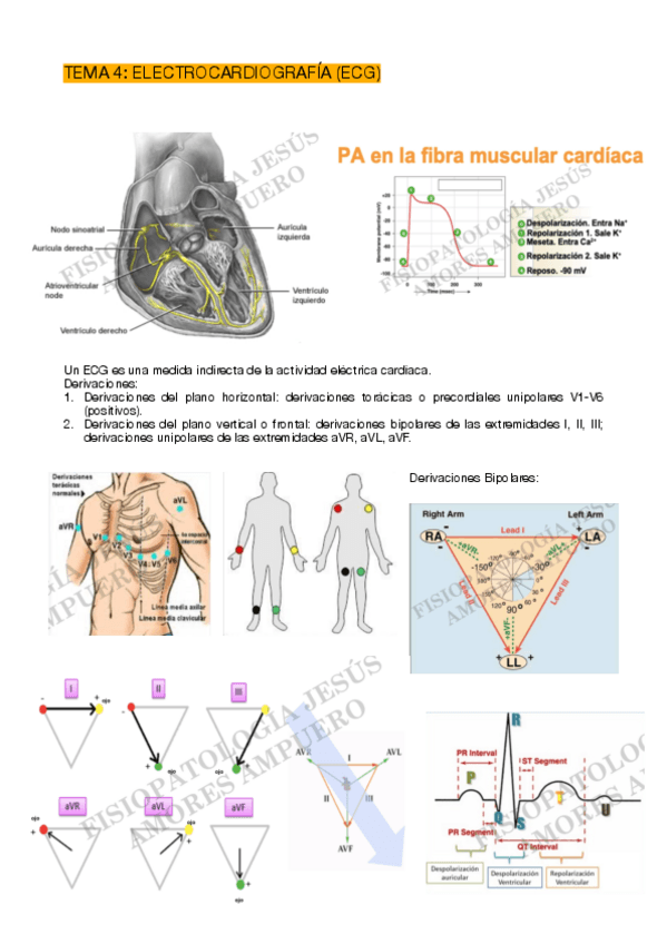 Miniatura del documento ECG-escrito.pdf