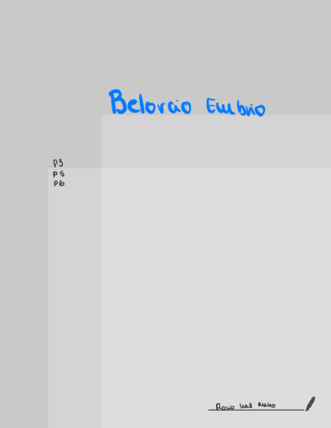 Miniatura del documento Belorcio-embrio.pdf