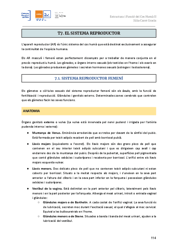 Miniatura del documento T7.-Sistema-reproductor.pdf