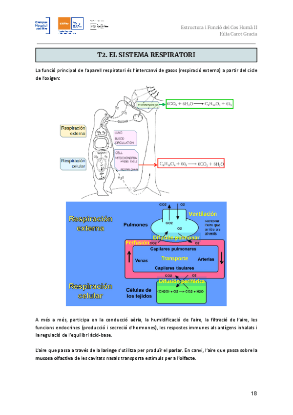 Miniatura del documento T2.-Aparell-respiratori.pdf