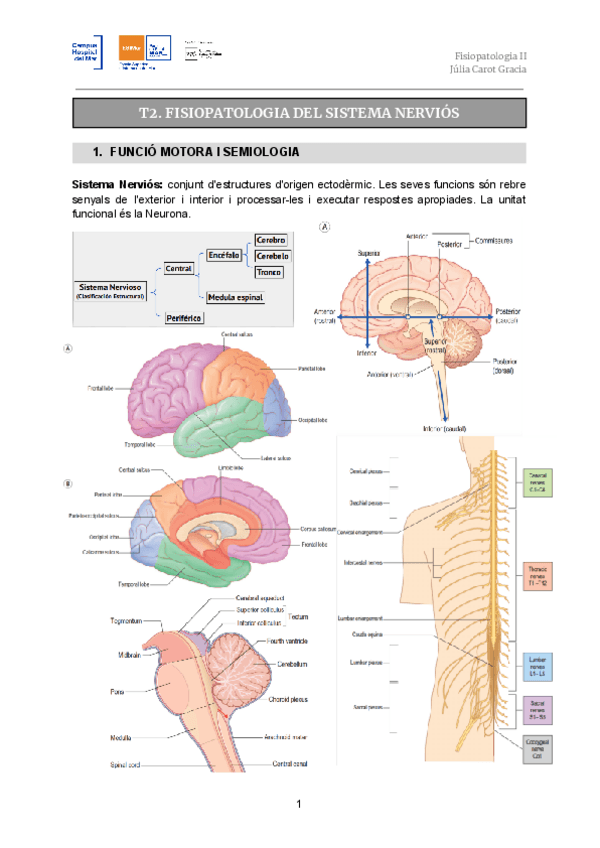 Miniatura del documento T2.-Sist.-Nervios.pdf