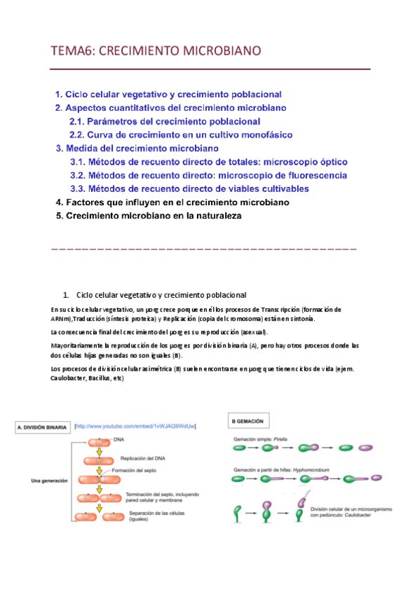 Miniatura del documento T6.-Crecimiento-microbiano.pdf